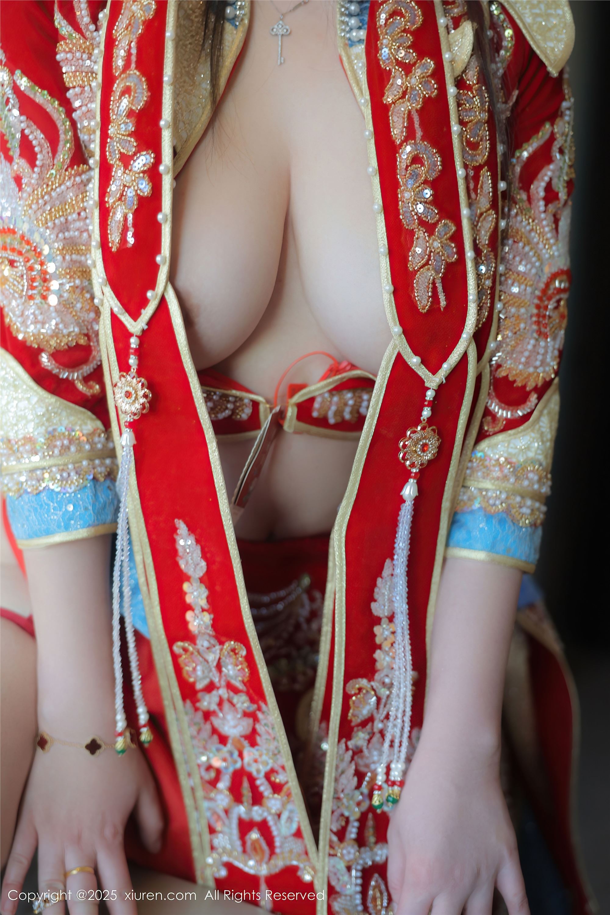 Xiuren秀人网 2025.02.11 NO.9869 林若凡F